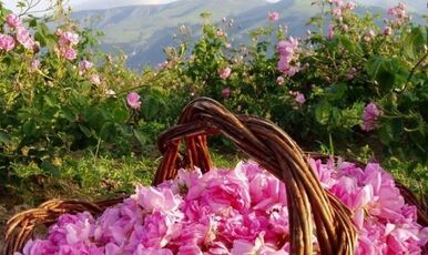 ISPARTA GÜL HASADI, ISPARTA MERKEZ, SALDA GÖLÜ VE PAMUKKALE TURU