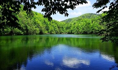 YEDİGÖLLER VE GÖLCÜK  GÖLÜ TURU