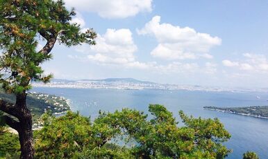 BÜYÜKADA ORTAKÖY TURU