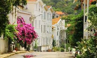 BÜYÜKADA ORTAKÖY TURU