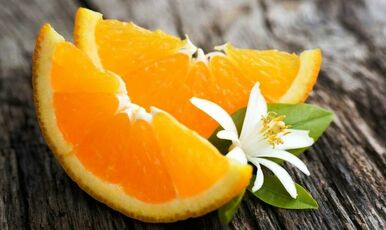 ADANA PORTAKAL ÇİÇEĞİ FESTİVALİ