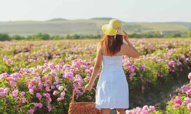 ISPARTA GÜL HASADI, ISPARTA MERKEZ, SALDA GÖLÜ VE PAMUKKALE TURU